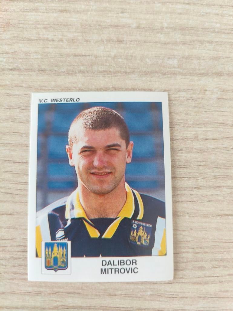 Panini Football 2001 Westerlo Dalibor Mitrovic nr: 361, Enlèvement ou Envoi
