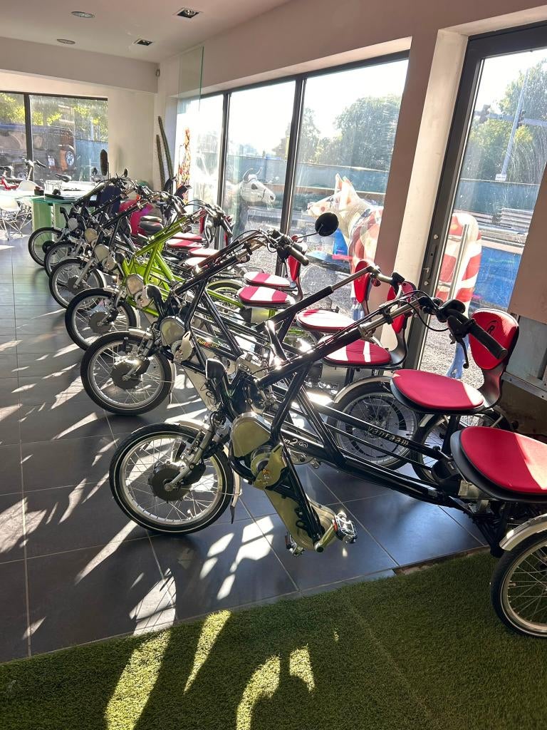 DUOFIETSEN met motor VEEL KEUZE : fun2go, Orthros+ garantie, Ophalen, Zo goed als nieuw, FUN TO GO van raam