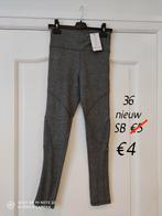 Sport broek dames 36 nieuw, Kleding | Dames, Sportkleding, Ophalen of Verzenden, Nieuw