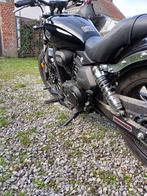 Archive black pearl 125, Motoren, 2 cilinders, Chopper, 125 cc, 11 kW of minder