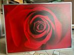 Canvas met afbeelding rode roos (140x100), Ophalen