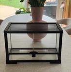 Terrarium Repto Terra 51x25x30, Dieren en Toebehoren, Ophalen, Nieuw, Terrarium of Paludarium