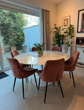 Lot de 6 Chaises en Velours Rose de Qualité, Maison & Meubles, Tables | Tables à manger, Enlèvement, Comme neuf