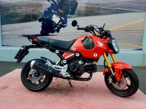 HONDA MSX 125 Garantie 1 ou 2 ans MOTOSD, Motos, Motos | Honda, Entreprise, Naked bike, jusqu'à 11 kW, 1 cylindre, Enlèvement