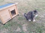 Kattenhuisje, Dieren en Toebehoren, Katten-accessoires, Ophalen, Nieuw