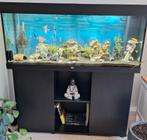 Juwel Rio 240 zwarte aquariumstandaard (compleet), Dieren en Toebehoren, Ophalen, Zo goed als nieuw, Gevuld zoetwateraquarium