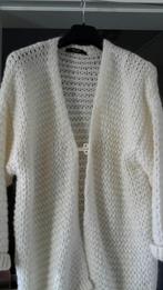 Lange cardigan Twinset maat L, Kleding | Dames, Twinset, Overige kleuren, Maat 42/44 (L), Nieuw
