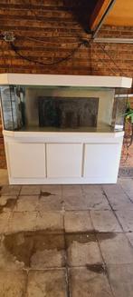Aquarium dat als terrarium kan worden gebruikt., Dieren en Toebehoren, Ophalen, Gebruikt, Leeg aquarium