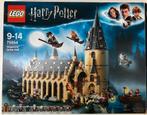 LEGO Harry Potter - Hogwarts Great Hall - 75954, Ophalen of Verzenden, Zo goed als nieuw