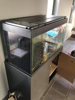 Aquarium 200 l, Dieren en Toebehoren, Ophalen, Gebruikt, Leeg aquarium