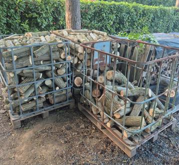 Bois de chauffage tendre frais  beschikbaar voor biedingen