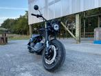 Elektrische Chopper ✅ E- Moto | Fatboy Harley Look, Motoren, Motoren | Harley-Davidson, Chopper, Particulier, LED Verlichting