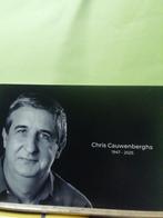 Bidprentje van Chris Cauwenberas kabouter Lui, Verzamelen, Ophalen of Verzenden, Bidprentje