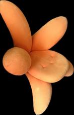 Fauteuil fleur de lys, Enlèvement, Utilisé