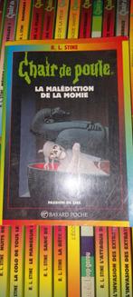 34 chair de poule, Livres, Enlèvement ou Envoi, Comme neuf