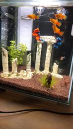 Aquarium superfish Qubic 30 pro in uitstekende staat (wit), Dieren en Toebehoren, Vissen | Aquaria en Toebehoren, Ophalen of Verzenden
