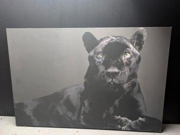 Grote Canvas  beschikbaar voor biedingen