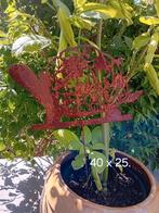 Brocante metalen tuinversiering, Tuin en Terras, Ophalen of Verzenden