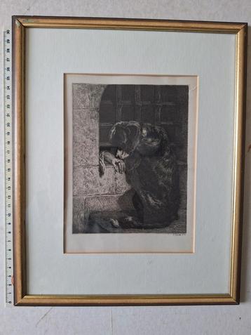 Originele ets van Joseph Stevens droevige hond uit 1850 beschikbaar voor biedingen