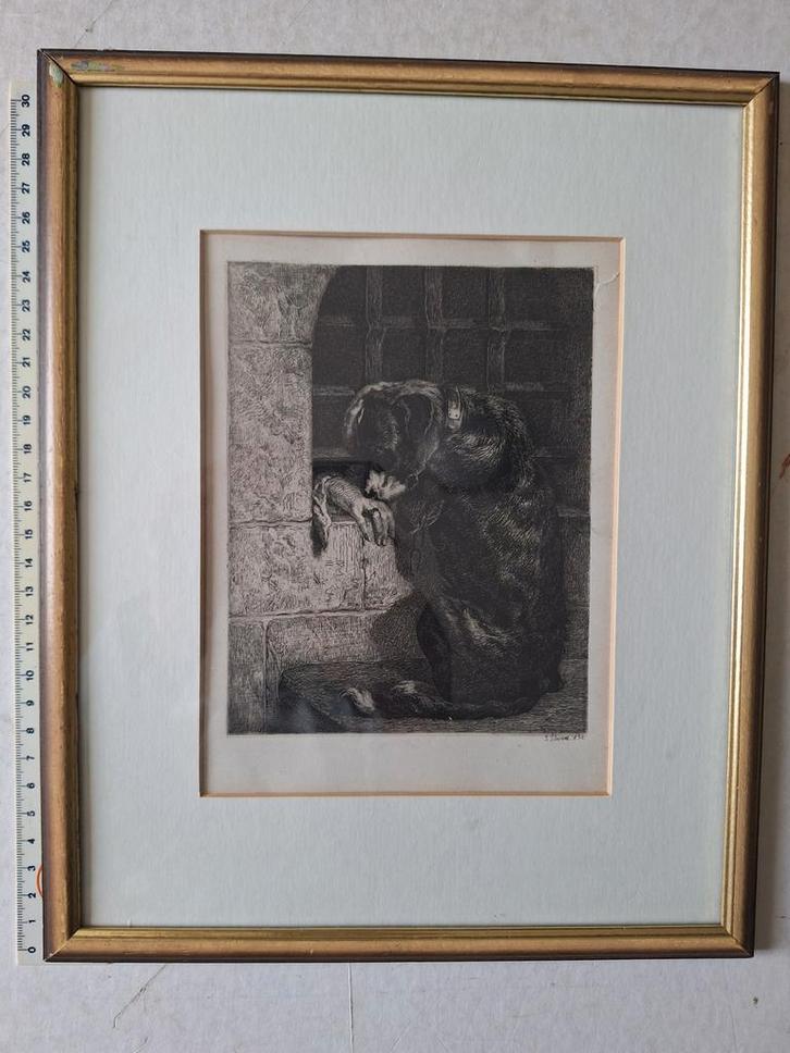 Originele ets van Joseph Stevens droevige hond uit 1850, Antiek en Kunst, Kunst | Etsen en Gravures, Ophalen of Verzenden