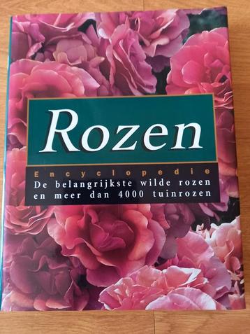GELUKKIG HOUD NIEMAND VAN ROZEN ¿¿¿ beschikbaar voor biedingen