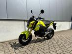 HONDA MSX - GROM, 1 cylindre, Naked bike, 124 cm³, Jusqu'à 11 kW