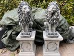 Leeuwen op Sokkels, Tuin en Terras, Ophalen, Nieuw, Beton, Dierenbeeld