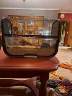 Dwerghamster kooi, nieuw, Ophalen of Verzenden, Kooi