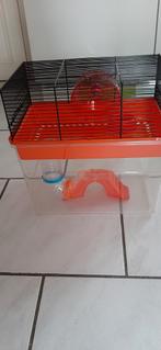 Kooi voor knaagdieren, Dieren en Toebehoren, Ophalen of Verzenden, Zo goed als nieuw