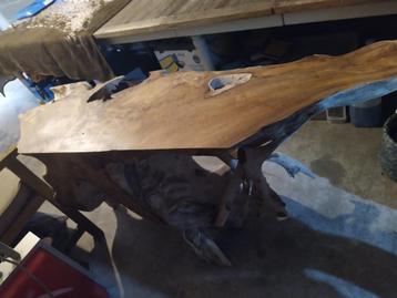 Boomwortel als haltafel beschikbaar voor biedingen