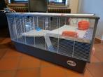 Hamsterkooi, Dieren en Toebehoren, Ophalen