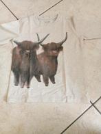 Jongens t-shirt lange mouwen, Kinderen en Baby's, Kinderkleding | Maat 98, Ophalen, Gebruikt, Name it, Shirt of Longsleeve