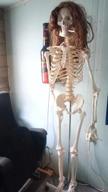 Anatomie skelet, Enlèvement, Comme neuf