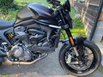 DUCATI Monster+, Motos, Motos | Ducati, 2 cylindres, Particulier, 937 cm³, Naked bike