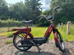 Piaggio ciao px bordeaux classe A, Motoren, Motoren | Piaggio, Particulier