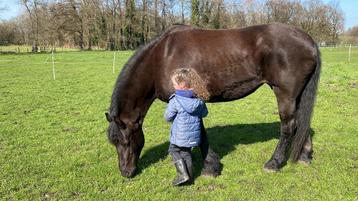 Op zoek naar natuurlijke huisvesting voor jouw pony? 🐴