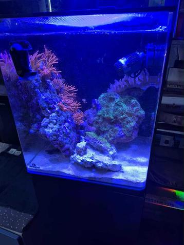 Aquarium Blue Marine 60 L beschikbaar voor biedingen