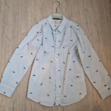 Leuk hemd diertjes H&M 134 beschikbaar voor biedingen