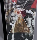 enorme pop-art Iggy Pop print, Retrohouse@telenet.be, Affiche, Œuvre d'art ou Peinture, Enlèvement, Utilisé