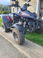 Quad maxxer 300 a vendre, Motoren