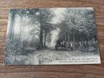 Oostmalle oude postkaart Het zwart Bosch , 1908, Verzamelen, Ophalen of Verzenden