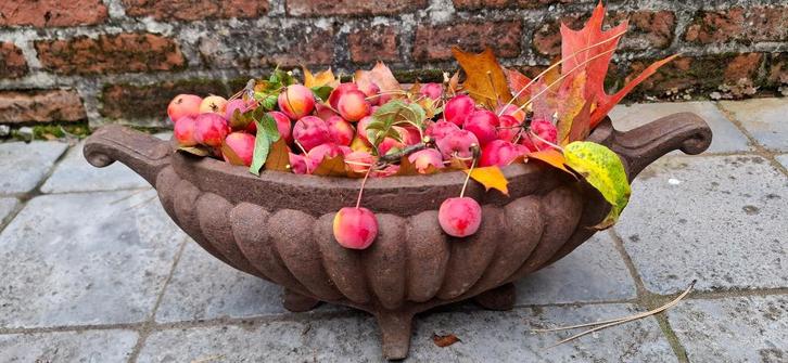 Antieke Franse jardinière - gietijzeren tuinvaas, Tuin en Terras, Tuinvazen, Gebruikt, Ophalen of Verzenden