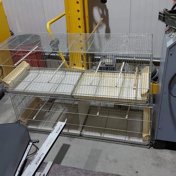 Domus kweekkooien 120cm breed  beschikbaar voor biedingen