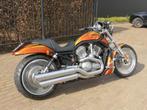 Harley davidson V-rod  special edition, 2 cylindres, Plus de 35 kW, Chopper, 1130 cm³