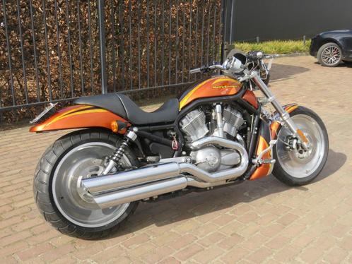 Harley davidson V-rod  special edition, Motos, Motos | Harley-Davidson, Entreprise, Chopper, plus de 35 kW, 2 cylindres, Enlèvement