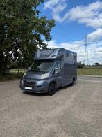 Paardenwagen Te Koop! (Opbouw NIEUW), Dieren en Toebehoren, Ophalen of Verzenden, Zo goed als nieuw