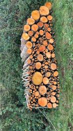 Bois de chauffage, Tuin en Terras, Brandhout, Ophalen