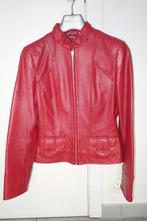 rode leren jas met staande kraag maat 36 in goede staat, Kleding | Dames, Jassen | Winter, Mango, Ophalen of Verzenden, Maat 36 (S)