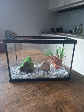 Aquarium  beschikbaar voor biedingen