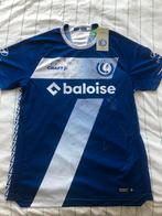 Kaa gent truitje 24/25, gesigneerd door de ploeg, Sport en Fitness, Voetbal, Maat L, Verzenden, Nieuw, Shirt